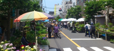 イベント情報 お富士さんの植木市と花のフェスティバル イベント情報 お富士さんの植木市と花のフェスティバル